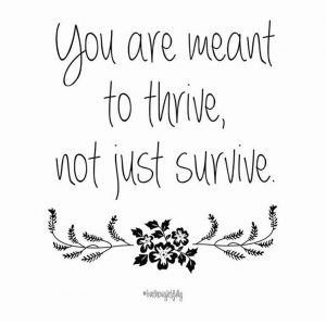 You are meant to thrive, thrive, survive, success, daily inspiration, quote of the day, inspiring quote, daily quote, quote, inspiration, inspiring, inspire, inspired, quotes, positive quotes, positive quote, positive thinking, motivation, success, happiness, happy, wellness, wellbeing, coaching, wisdom, guidance, personal development, personal growth, self improvement, potential, spiritual, spirit, soul, spirituality, spiritual teacher, compassion, self love, mindful, mindfulness, mindful living, conscious living, conscious, awareness, red fairy project, inner voice, inner guidance,