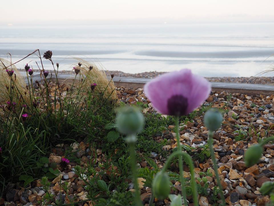 East Wittering, England, travel, europe, wanderlust, summer, vacation