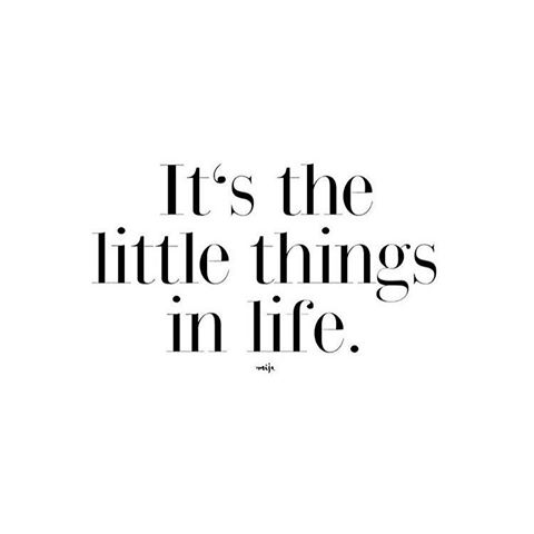 it's the little things, daily inspiration, quote of the day, inspiring quote, daily quote, inspiration, inspiring, inspire, inspired, quotes, positive quotes, positive quote, motivation, success, happiness, happy, wellness, well-being, wisdom, guidance, personal development, personal growth, self improvement, potential, self love, healthy living, health, spirituality, spiritual, soul, spiritual coach, coach, coaching, life coach, health coach, wellness coach, red fairy project, healer, light worker, miracle, miracle worker, light worker, self actualization, gratitude