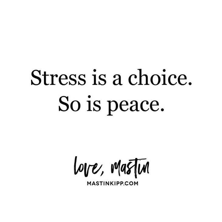 stress, peace, daily inspiration, quote of the day, inspiring quote, daily quote, inspiration, inspiring, inspire, inspired, quotes, positive quotes, positive quote, motivation, success, happiness, happy, wellness, well-being, wisdom, guidance, personal development, personal growth, self improvement, potential, self love, healthy living, health, spirituality, spiritual, soul, spiritual coach, coach, coaching, life coach, health coach, wellness coach, red fairy project, healer, light worker, miracle, miracle worker, light worker, self actualization, stress is a choice